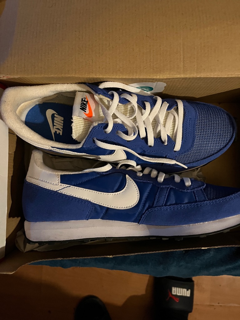 Men’s Nike Blue And White Low-Top Sneakers With Classic Swoosh